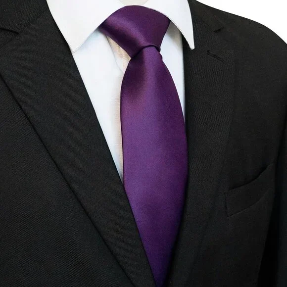 Men's Dark Purple Solid Pure Color Imported Polyester Formal Neck Ties - Picture 2 of 6